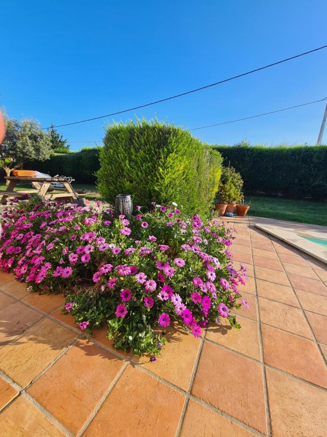 Homestay Casa Ensolarada And Pottery Aljezur
