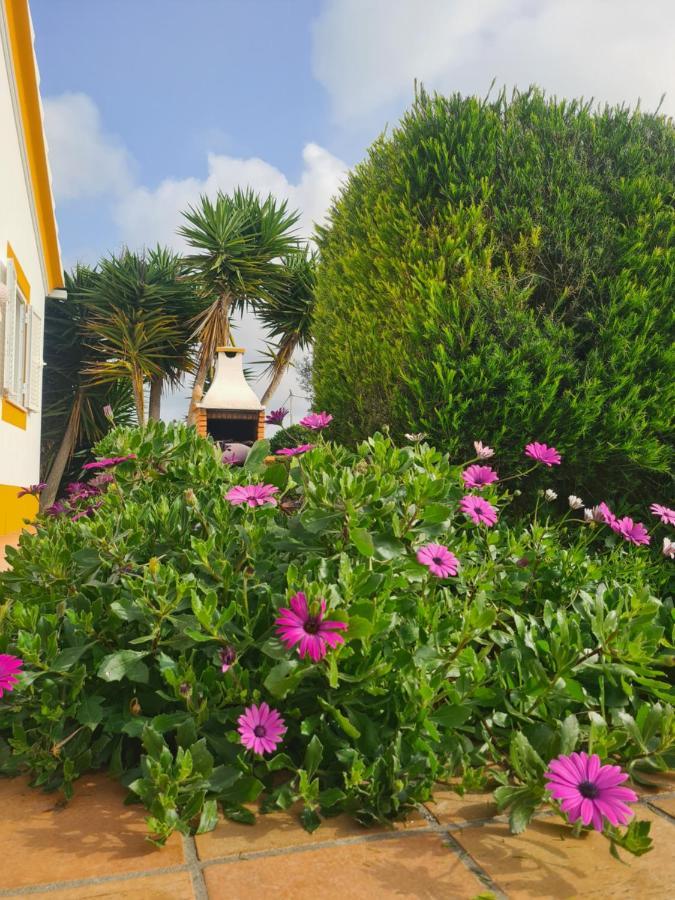 Homestay Casa Ensolarada And Pottery Aljezur