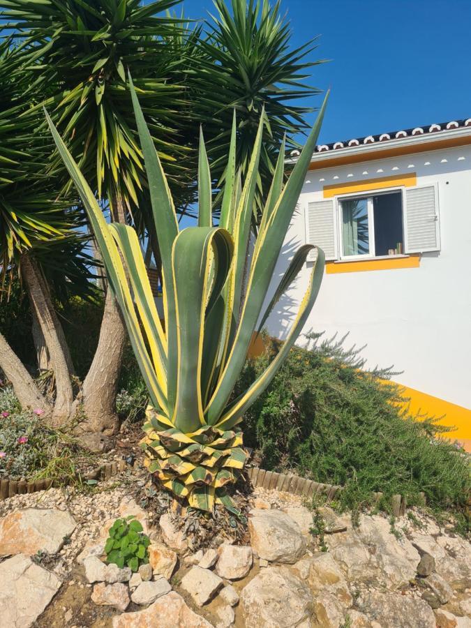 Homestay Casa Ensolarada And Pottery *