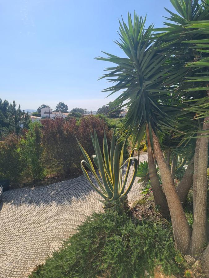 Casa Ensolarada And Pottery Homestay Aljezur